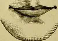 An illustration from A system of practical and scientific physiognomy, or, How to read faces : being a manual of instruction in the knowledge of the human physiognomy and organism, embracing the discoveries of located signs of character in the body and face, as shown by the five natural divisions of the countenance. Volume 2 / by Mary Olmstead Stanton. (1890)