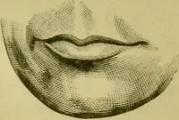 An illustration from A system of practical and scientific physiognomy, or, How to read faces : being a manual of instruction in the knowledge of the human physiognomy and organism, embracing the discoveries of located signs of character in the body and face, as shown by the five natural divisions of the countenance. Volume 2 / by Mary Olmstead Stanton. (1890)