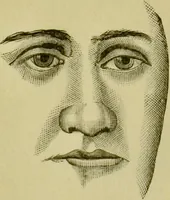 An illustration from A system of practical and scientific physiognomy, or, How to read faces : being a manual of instruction in the knowledge of the human physiognomy and organism, embracing the discoveries of located signs of character in the body and face, as shown by the five natural divisions of the countenance. Volume 2 / by Mary Olmstead Stanton. (1890)