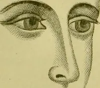 An illustration from A system of practical and scientific physiognomy, or, How to read faces : being a manual of instruction in the knowledge of the human physiognomy and organism, embracing the discoveries of located signs of character in the body and face, as shown by the five natural divisions of the countenance. Volume 2 / by Mary Olmstead Stanton. (1890)