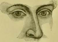 An illustration from A system of practical and scientific physiognomy, or, How to read faces : being a manual of instruction in the knowledge of the human physiognomy and organism, embracing the discoveries of located signs of character in the body and face, as shown by the five natural divisions of the countenance. Volume 2 / by Mary Olmstead Stanton. (1890)