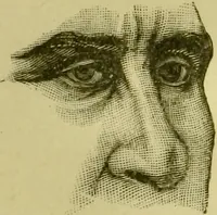 An illustration from A system of practical and scientific physiognomy, or, How to read faces : being a manual of instruction in the knowledge of the human physiognomy and organism, embracing the discoveries of located signs of character in the body and face, as shown by the five natural divisions of the countenance. Volume 2 / by Mary Olmstead Stanton. (1890)