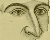 Picture 63 of 165 from A system of practical and scientific physiognomy, or, How to read faces : being a manual of instruction in the knowledge of the human physiognomy and organism, embracing the discoveries of located signs of character in the body and face, as shown by the five natural divisions of the countenance. Volume 2 / by Mary Olmstead Stanton. (1890), leaf 351