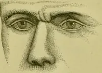 An illustration from A system of practical and scientific physiognomy, or, How to read faces : being a manual of instruction in the knowledge of the human physiognomy and organism, embracing the discoveries of located signs of character in the body and face, as shown by the five natural divisions of the countenance. Volume 2 / by Mary Olmstead Stanton. (1890)