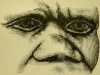 An illustration from A system of practical and scientific physiognomy, or, How to read faces : being a manual of instruction in the knowledge of the human physiognomy and organism, embracing the discoveries of located signs of character in the body and face, as shown by the five natural divisions of the countenance. Volume 2 / by Mary Olmstead Stanton. (1890)