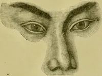 An illustration from A system of practical and scientific physiognomy, or, How to read faces : being a manual of instruction in the knowledge of the human physiognomy and organism, embracing the discoveries of located signs of character in the body and face, as shown by the five natural divisions of the countenance. Volume 2 / by Mary Olmstead Stanton. (1890)