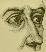 An illustration from A system of practical and scientific physiognomy, or, How to read faces : being a manual of instruction in the knowledge of the human physiognomy and organism, embracing the discoveries of located signs of character in the body and face, as shown by the five natural divisions of the countenance. Volume 2 / by Mary Olmstead Stanton. (1890)