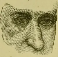 An illustration from A system of practical and scientific physiognomy, or, How to read faces : being a manual of instruction in the knowledge of the human physiognomy and organism, embracing the discoveries of located signs of character in the body and face, as shown by the five natural divisions of the countenance. Volume 2 / by Mary Olmstead Stanton. (1890)