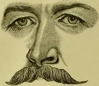 An illustration from A system of practical and scientific physiognomy, or, How to read faces : being a manual of instruction in the knowledge of the human physiognomy and organism, embracing the discoveries of located signs of character in the body and face, as shown by the five natural divisions of the countenance. Volume 2 / by Mary Olmstead Stanton. (1890)