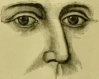 An illustration from A system of practical and scientific physiognomy, or, How to read faces : being a manual of instruction in the knowledge of the human physiognomy and organism, embracing the discoveries of located signs of character in the body and face, as shown by the five natural divisions of the countenance. Volume 2 / by Mary Olmstead Stanton. (1890)