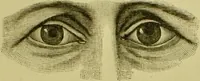 An illustration from A system of practical and scientific physiognomy, or, How to read faces : being a manual of instruction in the knowledge of the human physiognomy and organism, embracing the discoveries of located signs of character in the body and face, as shown by the five natural divisions of the countenance. Volume 2 / by Mary Olmstead Stanton. (1890)
