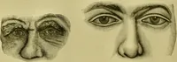 An illustration from A system of practical and scientific physiognomy, or, How to read faces : being a manual of instruction in the knowledge of the human physiognomy and organism, embracing the discoveries of located signs of character in the body and face, as shown by the five natural divisions of the countenance. Volume 2 / by Mary Olmstead Stanton. (1890)