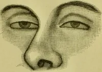An illustration from A system of practical and scientific physiognomy, or, How to read faces : being a manual of instruction in the knowledge of the human physiognomy and organism, embracing the discoveries of located signs of character in the body and face, as shown by the five natural divisions of the countenance. Volume 2 / by Mary Olmstead Stanton. (1890)