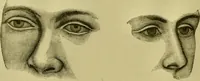 An illustration from A system of practical and scientific physiognomy, or, How to read faces : being a manual of instruction in the knowledge of the human physiognomy and organism, embracing the discoveries of located signs of character in the body and face, as shown by the five natural divisions of the countenance. Volume 2 / by Mary Olmstead Stanton. (1890)