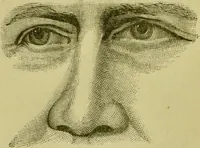 An illustration from A system of practical and scientific physiognomy, or, How to read faces : being a manual of instruction in the knowledge of the human physiognomy and organism, embracing the discoveries of located signs of character in the body and face, as shown by the five natural divisions of the countenance. Volume 2 / by Mary Olmstead Stanton. (1890)