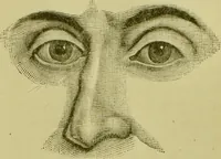An illustration from A system of practical and scientific physiognomy, or, How to read faces : being a manual of instruction in the knowledge of the human physiognomy and organism, embracing the discoveries of located signs of character in the body and face, as shown by the five natural divisions of the countenance. Volume 2 / by Mary Olmstead Stanton. (1890)
