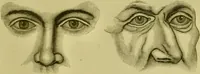 An illustration from A system of practical and scientific physiognomy, or, How to read faces : being a manual of instruction in the knowledge of the human physiognomy and organism, embracing the discoveries of located signs of character in the body and face, as shown by the five natural divisions of the countenance. Volume 2 / by Mary Olmstead Stanton. (1890)