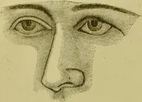 An illustration from A system of practical and scientific physiognomy, or, How to read faces : being a manual of instruction in the knowledge of the human physiognomy and organism, embracing the discoveries of located signs of character in the body and face, as shown by the five natural divisions of the countenance. Volume 2 / by Mary Olmstead Stanton. (1890)
