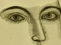 An illustration from A system of practical and scientific physiognomy, or, How to read faces : being a manual of instruction in the knowledge of the human physiognomy and organism, embracing the discoveries of located signs of character in the body and face, as shown by the five natural divisions of the countenance. Volume 2 / by Mary Olmstead Stanton. (1890)