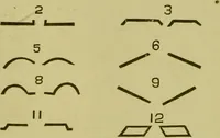 An illustration from A system of practical and scientific physiognomy, or, How to read faces : being a manual of instruction in the knowledge of the human physiognomy and organism, embracing the discoveries of located signs of character in the body and face, as shown by the five natural divisions of the countenance. Volume 2 / by Mary Olmstead Stanton. (1890)