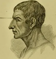An illustration from A system of practical and scientific physiognomy, or, How to read faces : being a manual of instruction in the knowledge of the human physiognomy and organism, embracing the discoveries of located signs of character in the body and face, as shown by the five natural divisions of the countenance. Volume 2 / by Mary Olmstead Stanton. (1890)