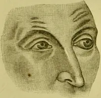 An illustration from A system of practical and scientific physiognomy, or, How to read faces : being a manual of instruction in the knowledge of the human physiognomy and organism, embracing the discoveries of located signs of character in the body and face, as shown by the five natural divisions of the countenance. Volume 2 / by Mary Olmstead Stanton. (1890)