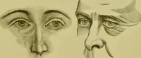 An illustration from A system of practical and scientific physiognomy, or, How to read faces : being a manual of instruction in the knowledge of the human physiognomy and organism, embracing the discoveries of located signs of character in the body and face, as shown by the five natural divisions of the countenance. Volume 2 / by Mary Olmstead Stanton. (1890)
