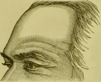 An illustration from A system of practical and scientific physiognomy, or, How to read faces : being a manual of instruction in the knowledge of the human physiognomy and organism, embracing the discoveries of located signs of character in the body and face, as shown by the five natural divisions of the countenance. Volume 2 / by Mary Olmstead Stanton. (1890)