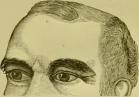 An illustration from A system of practical and scientific physiognomy, or, How to read faces : being a manual of instruction in the knowledge of the human physiognomy and organism, embracing the discoveries of located signs of character in the body and face, as shown by the five natural divisions of the countenance. Volume 2 / by Mary Olmstead Stanton. (1890)