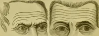 An illustration from A system of practical and scientific physiognomy, or, How to read faces : being a manual of instruction in the knowledge of the human physiognomy and organism, embracing the discoveries of located signs of character in the body and face, as shown by the five natural divisions of the countenance. Volume 2 / by Mary Olmstead Stanton. (1890)
