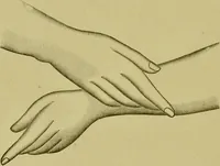 An illustration from A system of practical and scientific physiognomy, or, How to read faces : being a manual of instruction in the knowledge of the human physiognomy and organism, embracing the discoveries of located signs of character in the body and face, as shown by the five natural divisions of the countenance. Volume 2 / by Mary Olmstead Stanton. (1890)