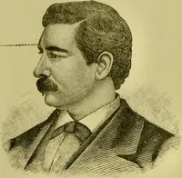 An illustration from A system of practical and scientific physiognomy, or, How to read faces : being a manual of instruction in the knowledge of the human physiognomy and organism, embracing the discoveries of located signs of character in the body and face, as shown by the five natural divisions of the countenance. Volume 2 / by Mary Olmstead Stanton. (1890)