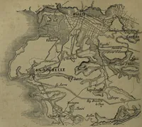 An illustration from Histoire des insectes nuisibles à la vigne : et particulièrement de la pyrale qui dévaste les vignobles des départments de la Cote-d'Or ... [etc.]; avec l'indication des moyens qu'on doit employer pour la combattre / par Victor Audouin. (1842)