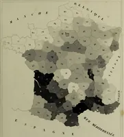 An illustration from Histoire des insectes nuisibles à la vigne : et particulièrement de la pyrale qui dévaste les vignobles des départments de la Cote-d'Or ... [etc.]; avec l'indication des moyens qu'on doit employer pour la combattre / par Victor Audouin. (1842)