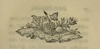 An illustration from Ueber thierischen Magnetismus. In einem Brief an Herrn Geheimen Rath Hoffmann in Mainz / Von Eberhard Gmelin. (1787)