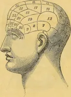 Picture 3 of 15 from Manual of phrenology : as an accompaniment to the phrenological bust. (1828), leaf 10