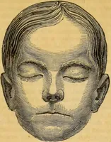 An illustration from Manual of phrenology : as an accompaniment to the phrenological bust. (1828)