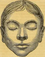 An illustration from Manual of phrenology : as an accompaniment to the phrenological bust. (1828)