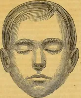 An illustration from Manual of phrenology : as an accompaniment to the phrenological bust. (1828)