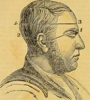 An illustration from Manual of phrenology : as an accompaniment to the phrenological bust. (1828)