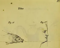 Picture 9 of 10 from La physiologie des gens du monde : pour servir de complément à l'éducation, ornée des planches / par le Ch[...]er Chaponnier. (1829), leaf 401