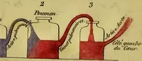 Picture 10 of 10 from La physiologie des gens du monde : pour servir de complément à l'éducation, ornée des planches / par le Ch[...]er Chaponnier. (1829), leaf 402