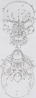 Picture 17 of 68 from Pfennig-Encyklopädie der Anatomie, oder, Bildliche Darstellung der gesammten menschlichen Anatomie : nach Rosenmüller, Loder, Carl Bell, Gordon, Bock etc / gestochen von J.F. Schröter ; mit erklärendem Texte von. Th. Richter. (1834), leaf 77
