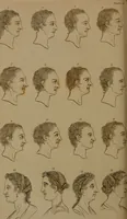 An illustration from Essays on physiognomy : designed to promote the knowledge and the love of mankind / written in the German language by John Caspar Lavater ; and translated into English by Thomas Holcroft ; to which are added one hundred physiognomonical rules, a posthumous work by Mr. Lavater and Memoirs of the life of the author compiled principally from The Life of Lavater, by G. Gessner. (1850)