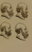 An illustration from Essays on physiognomy : designed to promote the knowledge and the love of mankind / written in the German language by John Caspar Lavater ; and translated into English by Thomas Holcroft ; to which are added one hundred physiognomonical rules, a posthumous work by Mr. Lavater and Memoirs of the life of the author compiled principally from The Life of Lavater, by G. Gessner. (1850)