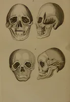 An illustration from Essays on physiognomy : designed to promote the knowledge and the love of mankind / written in the German language by John Caspar Lavater ; and translated into English by Thomas Holcroft ; to which are added one hundred physiognomonical rules, a posthumous work by Mr. Lavater and Memoirs of the life of the author compiled principally from The Life of Lavater, by G. Gessner. (1850)