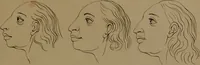 An illustration from Essays on physiognomy : designed to promote the knowledge and the love of mankind / written in the German language by John Caspar Lavater ; and translated into English by Thomas Holcroft ; to which are added one hundred physiognomonical rules, a posthumous work by Mr. Lavater and Memoirs of the life of the author compiled principally from The Life of Lavater, by G. Gessner. (1850)