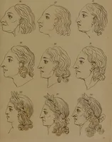 An illustration from Essays on physiognomy : designed to promote the knowledge and the love of mankind / written in the German language by John Caspar Lavater ; and translated into English by Thomas Holcroft ; to which are added one hundred physiognomonical rules, a posthumous work by Mr. Lavater and Memoirs of the life of the author compiled principally from The Life of Lavater, by G. Gessner. (1850)