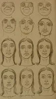 An illustration from Essays on physiognomy : designed to promote the knowledge and the love of mankind / written in the German language by John Caspar Lavater ; and translated into English by Thomas Holcroft ; to which are added one hundred physiognomonical rules, a posthumous work by Mr. Lavater and Memoirs of the life of the author compiled principally from The Life of Lavater, by G. Gessner. (1850)