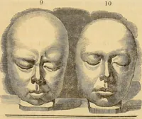 An illustration from Manual of phrenology : as an accompaniment to the phrenological bust / [James De Ville]. (1835)